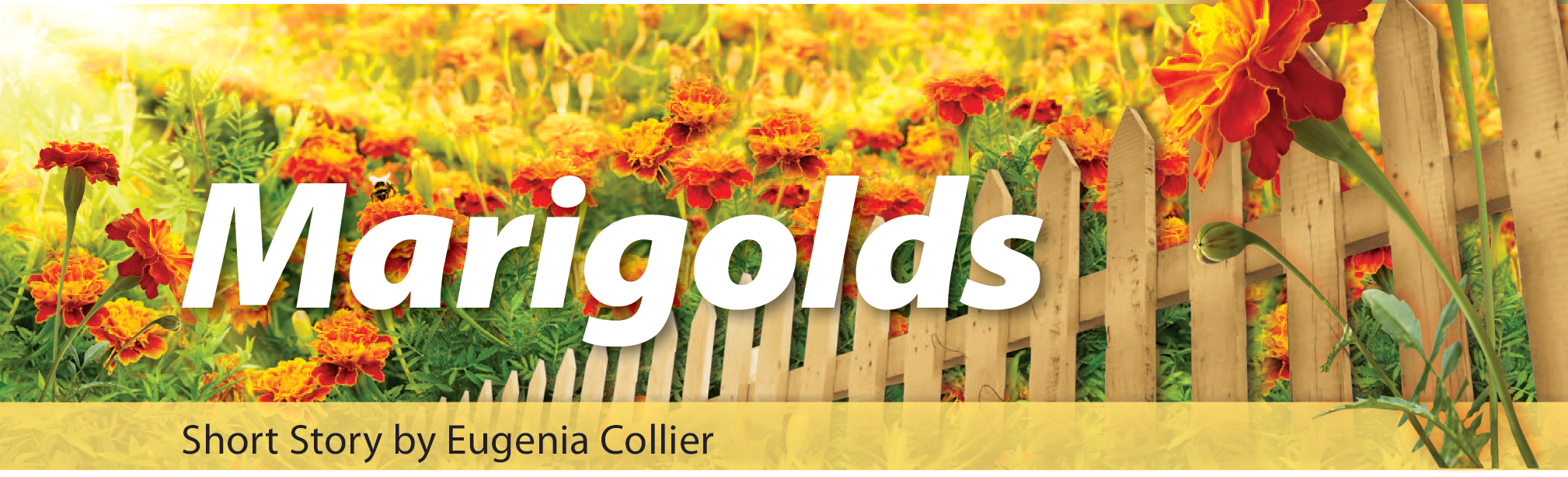 marigolds by eugenia collier summary